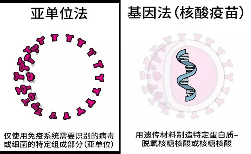 1629938839605242.jpg 微信图片_20210826083323.jpg