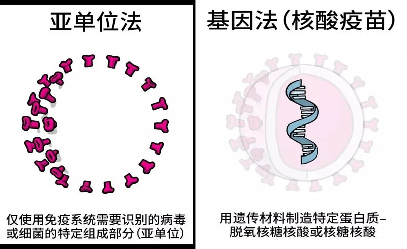 微信图片_20210826083323.jpg