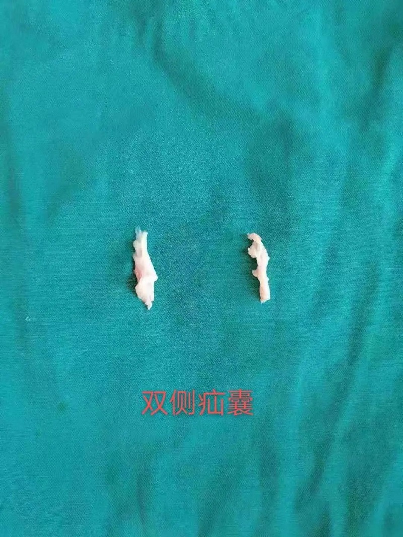 微信图片_20210123093650.jpg