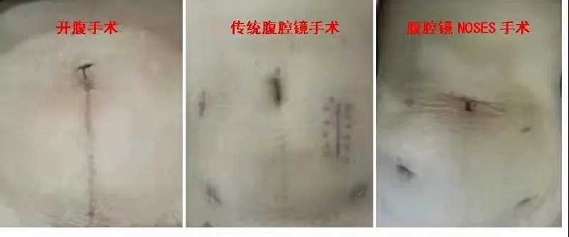 微信图片_20210309093545.jpg
