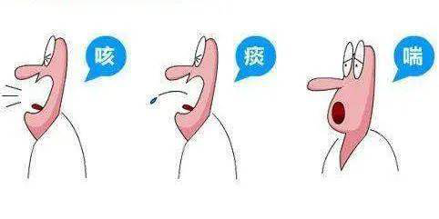 肺4.png