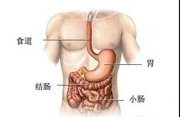 微信图片_20211104093418.jpg